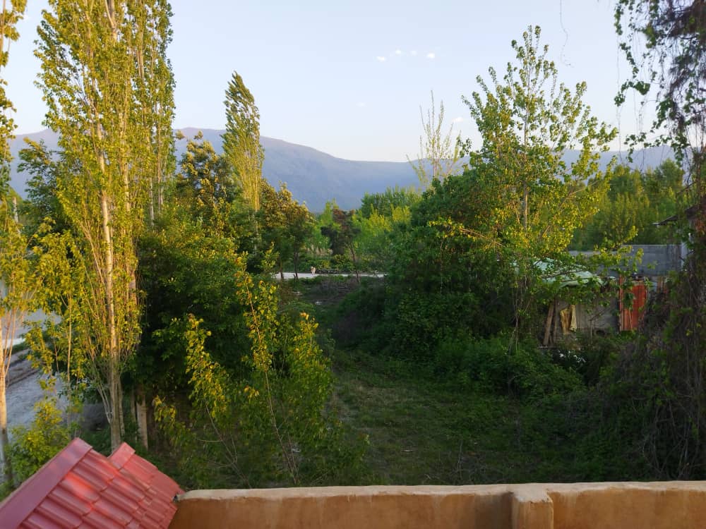 گالری تصاویر